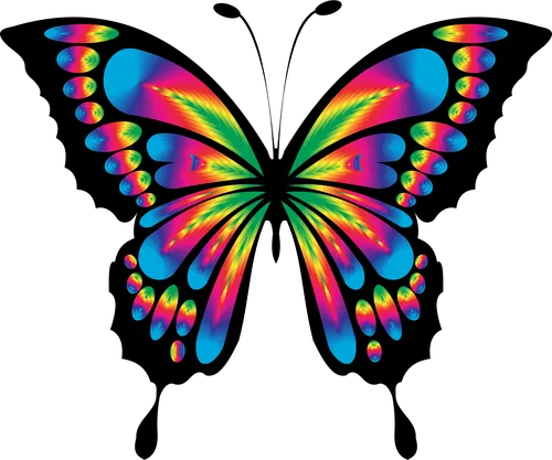 Бабочки Картинки красочный дизайн на черном фоне