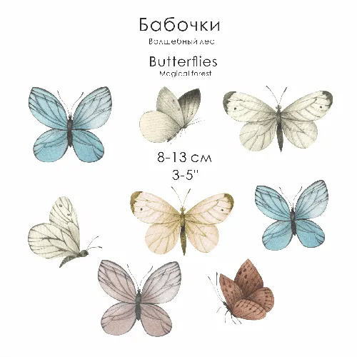 Бабочки Картинки фон
