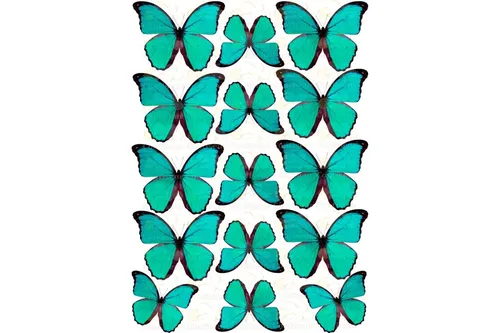 Бабочки Картинки фто на айфон
