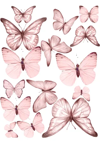 Бабочки Картинки 2022