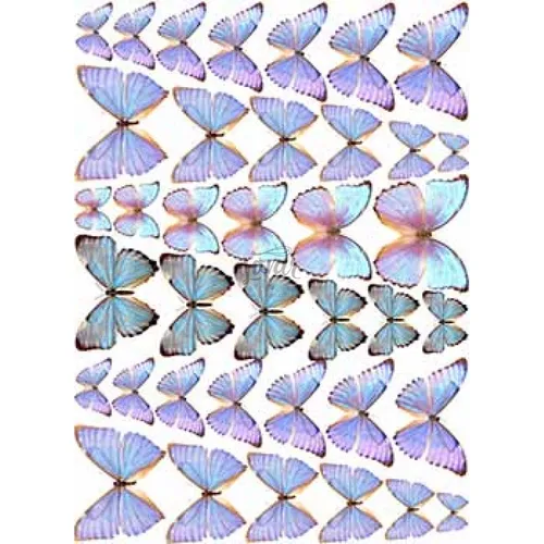 Бабочки Картинки синий цветочный узор