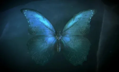 Бабочки Картинки голубая бабочка с крыльями
