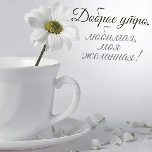 Доброе Утро Любимая Картинки белый цветок в белой кружке