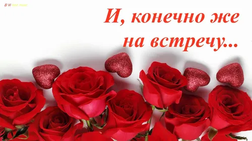 Доброе Утро Любимая Картинки группа красных роз
