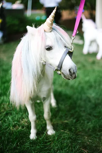 Единорог Картинки белая лошадь на розовом поводке