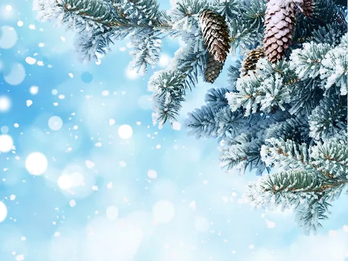 Зимние Картинки дерево со снегом