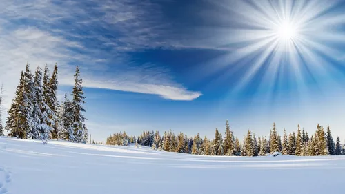Зимние Картинки снежное поле с деревьями и солнцем в небе