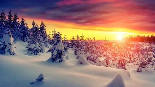 Зимние Картинки снежный пейзаж с деревьями и солнцем на заднем плане