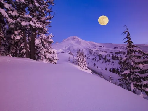 Зимние Картинки снежная гора с деревьями и луной в небе