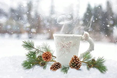 Зимние Картинки стеклянная ваза с растением и сосновой шишкой