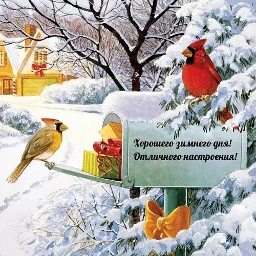 Зимние Картинки птица на кормушке для птиц в снегу