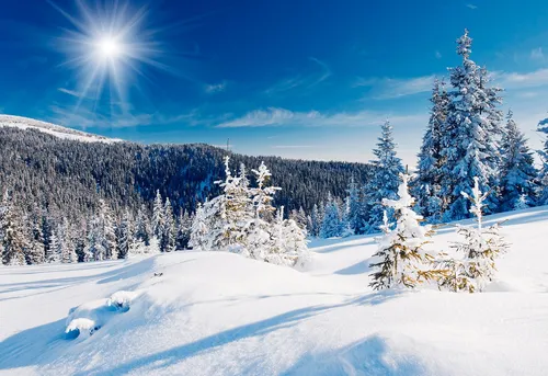 Зимние Картинки снежный пейзаж с деревьями и голубым небом