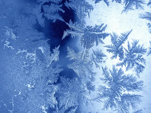 Зимние Картинки спутниковый снимок земли