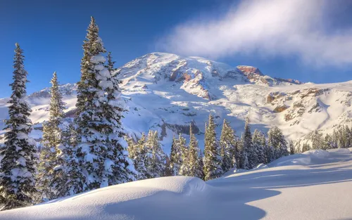 Зимние Картинки снежная гора с деревьями