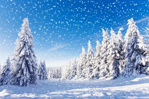 Зимние Картинки снежный пейзаж с деревьями