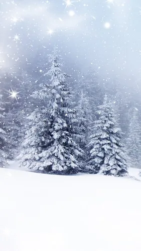 Зимние Картинки фото на Samsung