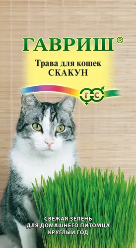 Кошек Картинки кошка, сидящая в куче травы