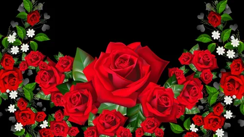 Розы Цветы Обои на телефон букет красных роз