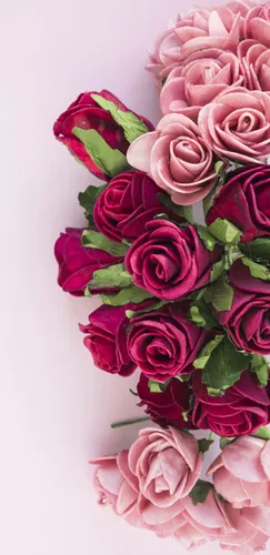 Розы Цветы Обои на телефон группа роз