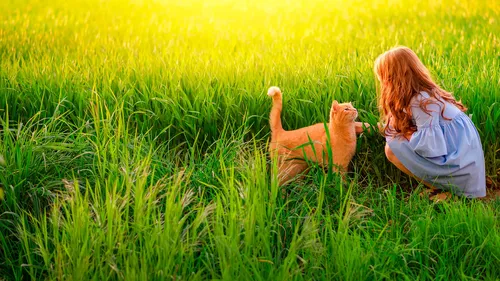 девочка и собака в травянистом поле