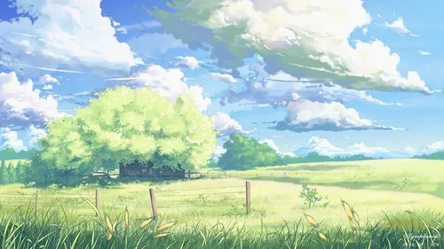 Лето Картинки забор и поле с деревом на заднем плане