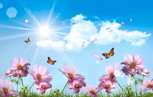 Лето Картинки группа бабочек, летающих над цветами