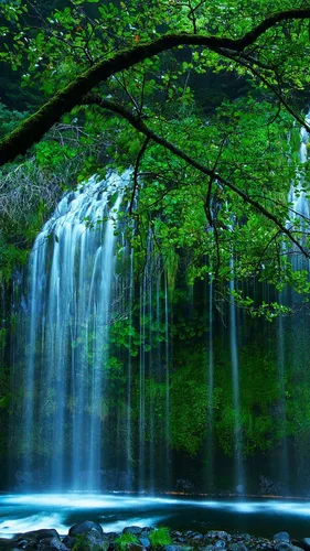 На Заставку Телефона Картинки водопад с деревьями вокруг него