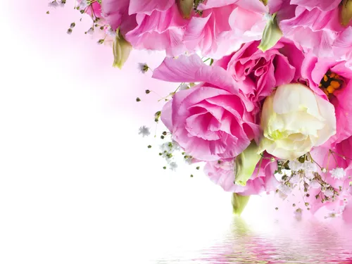 С Цветами Картинки группа розовых цветов