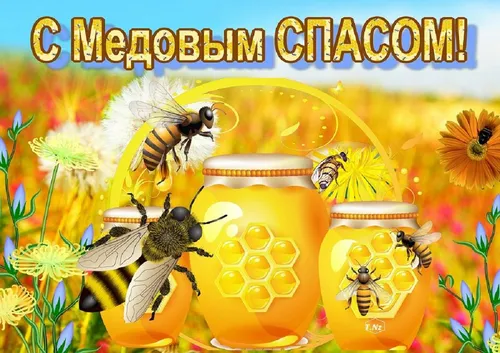 Медовый Спас Картинки пчелы на баночке с медом