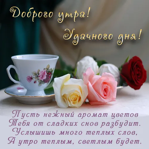 Нежные С Добрым Утром Картинки чашка чая и пара роз на столе