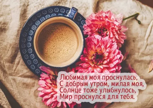 Нежные С Добрым Утром Картинки чашка кофе и цветы