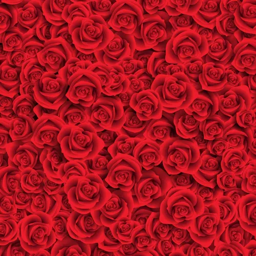 Розы Картинки красно-белый узор