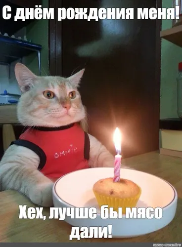 С Днем Рождения Меня Картинки кошка со свечой во рту