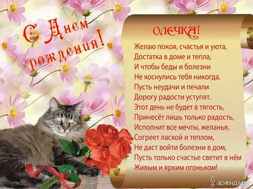 С Днем Рождения Оля Картинки кошка, сидящая в корзине с цветами