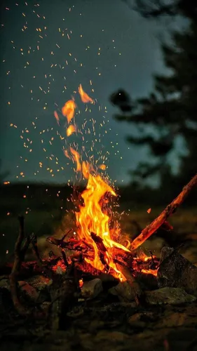 Уютные Обои на телефон огонь, горящий в лесу