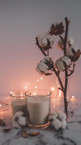 Уютные Обои на телефон свеча и цветы