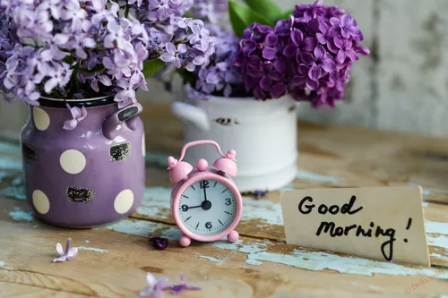 Стильные Доброе Утро Картинки пара ваз с цветами