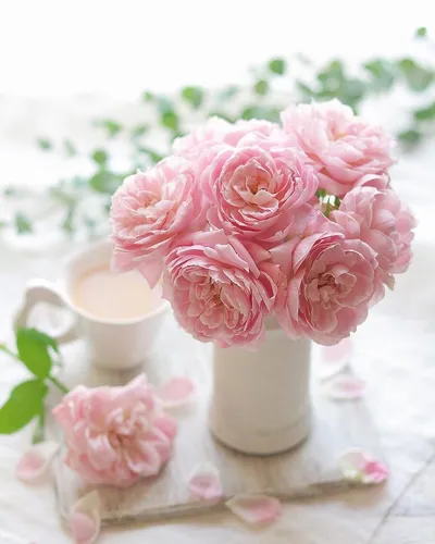 Стильные Доброе Утро Картинки ваза с розовыми цветами
