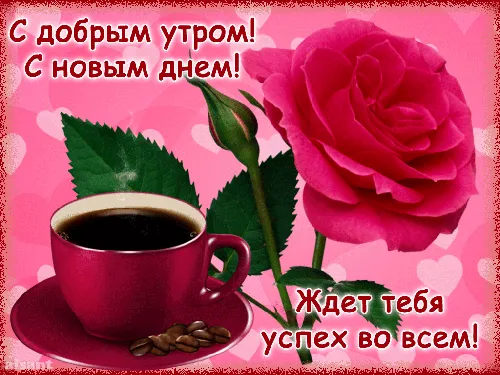 розовая роза рядом с чашкой кофе