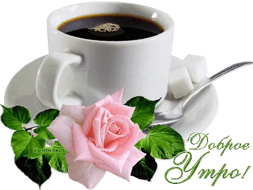 чашка кофе и цветок