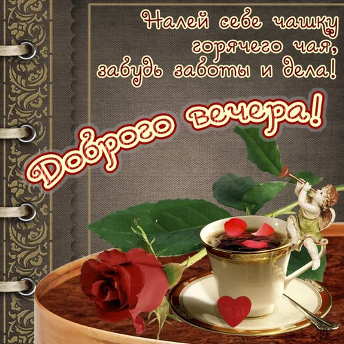 Мод Хамфри, Доброго Вечера Картинки чайная чашка с блюдцем с розой на столе