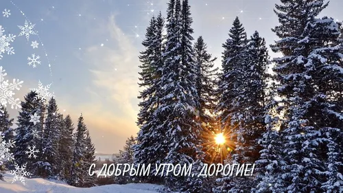 Доброго Утра Зима Картинки заснеженный лес с солнцем, сияющим сквозь облака