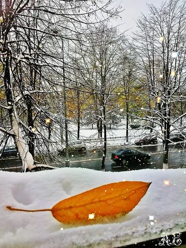 Доброе Утро Зима Картинки замороженная морковь в снежный день