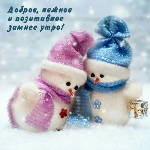 Доброе Утро Зима Картинки пара снеговиков