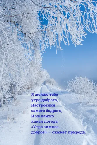 Доброе Утро Зима Картинки снежный пейзаж с деревьями