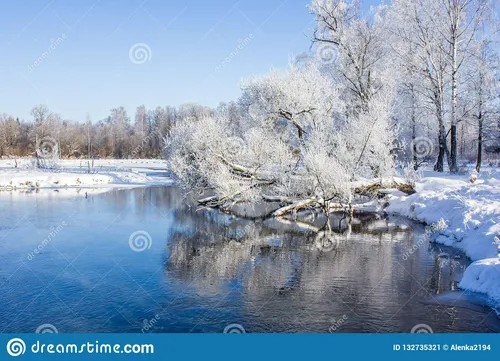 Доброе Утро Зима Картинки водоем со снегом сбоку и деревьями вокруг