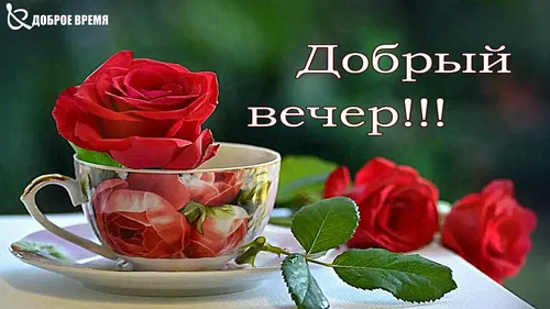Добрый Вечер Красивые Картинки чашка чая с розами