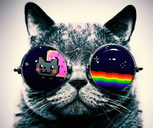 Для Аватарки Картинки кошка в солнцезащитных очках