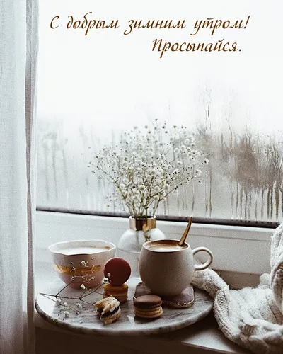 С Добрым Зимним Утром Картинки окно с вазой и цветами