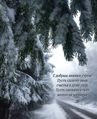 С Добрым Зимним Утром Картинки дорога со снегом на обочине